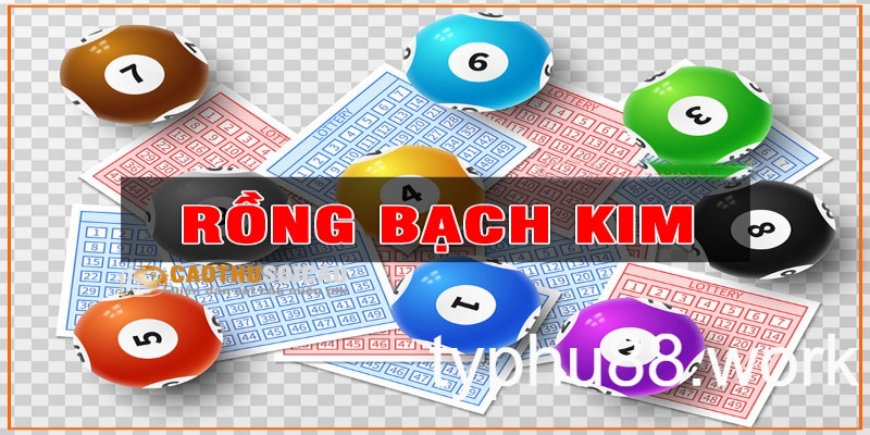 Website soi cầu trực tuyến Rồng bạch kim - Những thông tin bạn cần biết